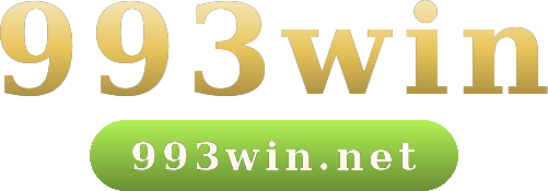 993win logo